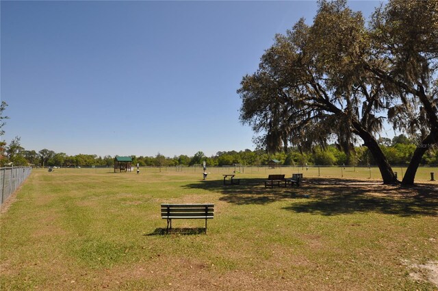 view of home's community with a yard