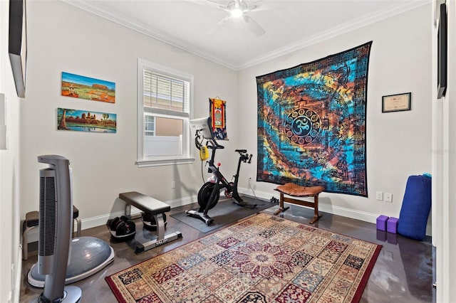 exercise area with ceiling fan and crown molding