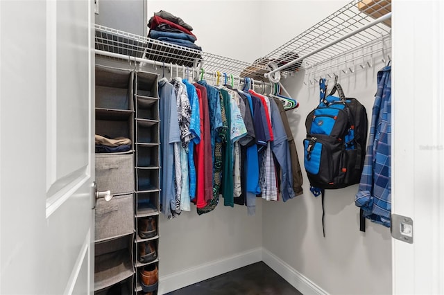 view of spacious closet