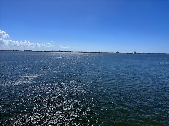 view of water feature