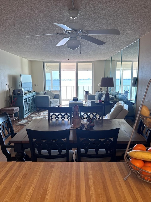 dining area with wood finished floors, a ceiling fan, a textured ceiling, plenty of natural light, and expansive windows