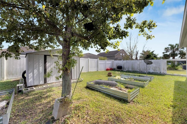 view of yard with a storage unit