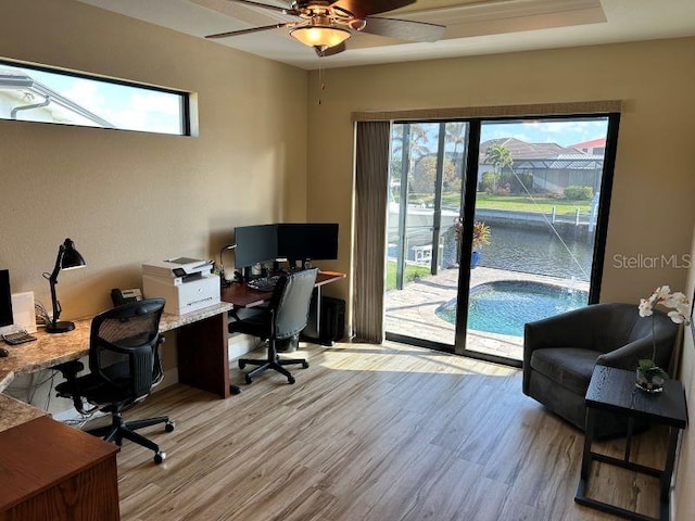 office area featuring ceiling fan and light wood-type flooring