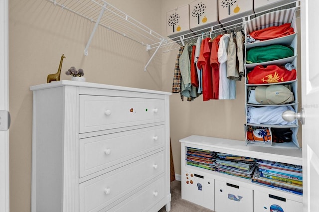 spacious closet with carpet flooring