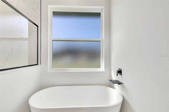 bathroom featuring a bathing tub