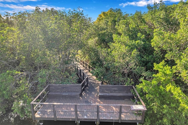 2937 Bough Ave Unit D, Clearwater, FL 33760 - exterior view of a heavily wooded area