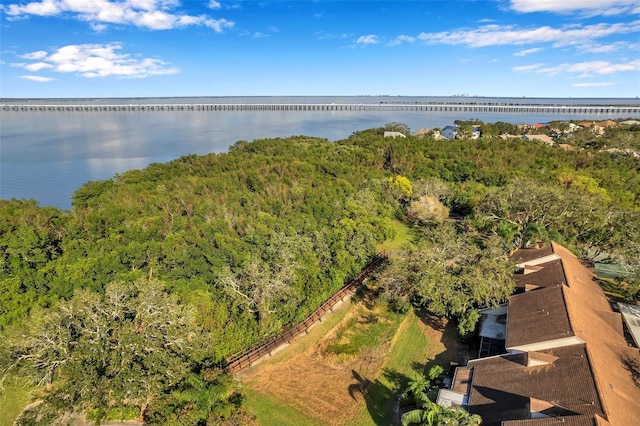 2937 Bough Ave Unit D, Clearwater, FL 33760 - bird's eye view of a large body of water and a heavily wooded area
