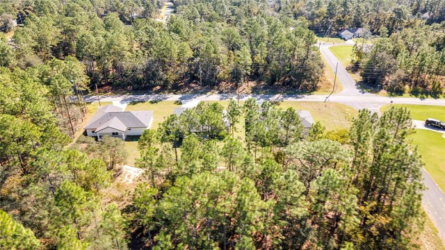 8104 N Santos Dr, Citrus Springs, FL 34434 - photo 56