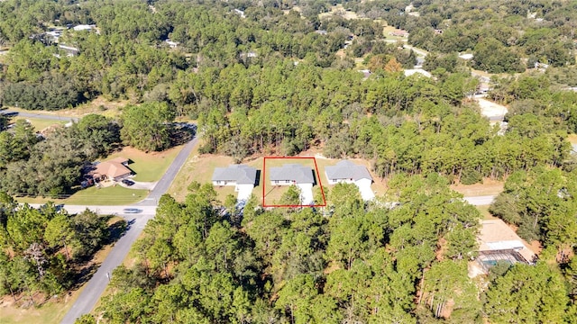 8104 N Santos Dr, Citrus Springs, FL 34434 - photo 60