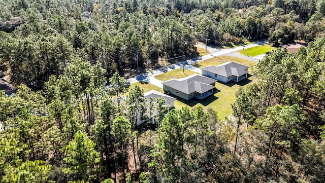 8118 N Santos Dr, Citrus Springs, FL 34434 - view of subject property with a heavily wooded area