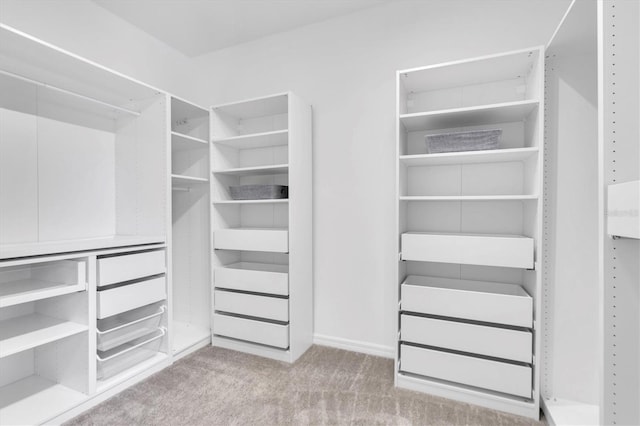 spacious closet featuring light colored carpet