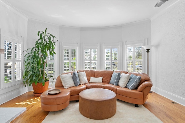 living room with crown molding and wood-type flooring