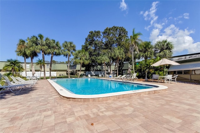 view of swimming pool with a patio area