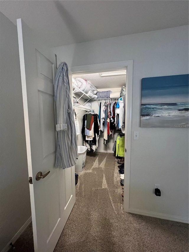 walk in closet featuring carpet floors