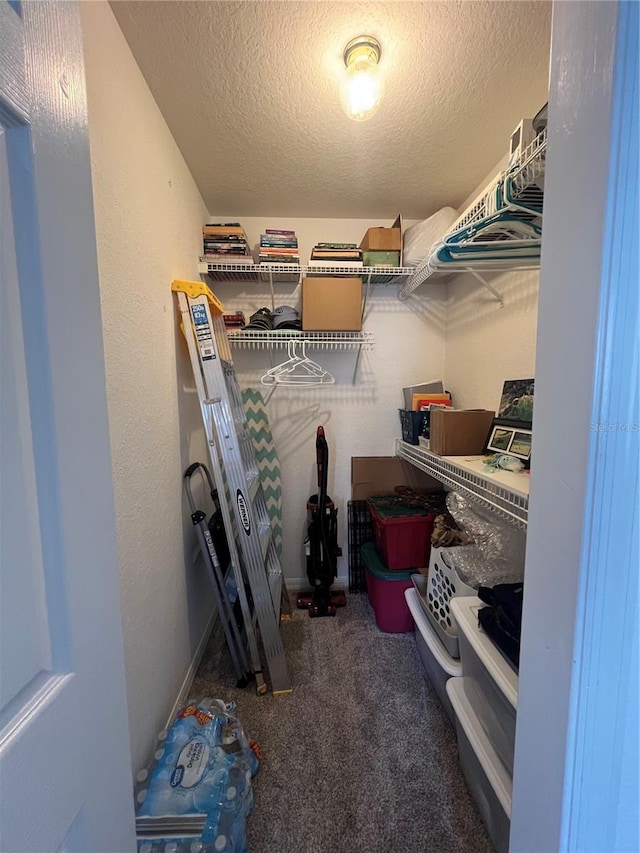 spacious closet with dark carpet