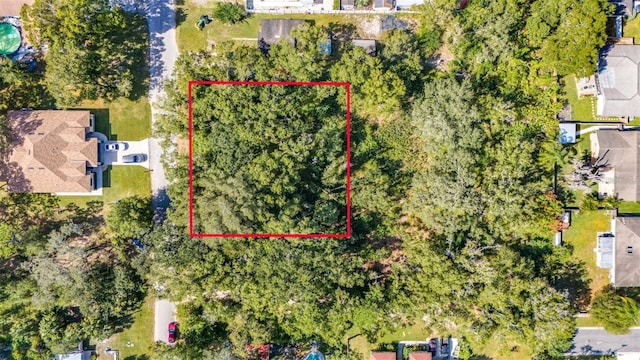 7405 Avonwood St, Tampa FL, 33625 land for sale