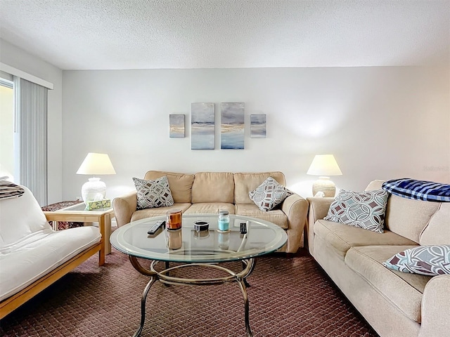 carpeted living room with a textured ceiling