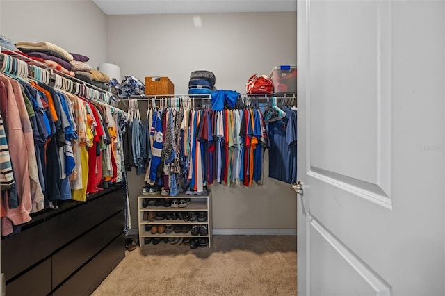 spacious closet with light carpet