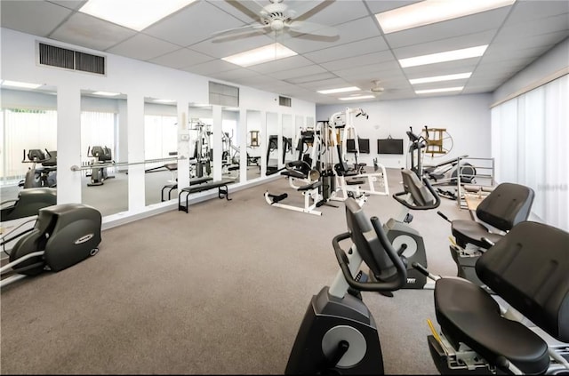 exercise room featuring plenty of natural light, carpet floors, a drop ceiling, and ceiling fan