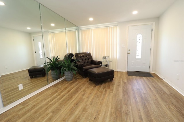 interior space featuring a wealth of natural light and wood-type flooring