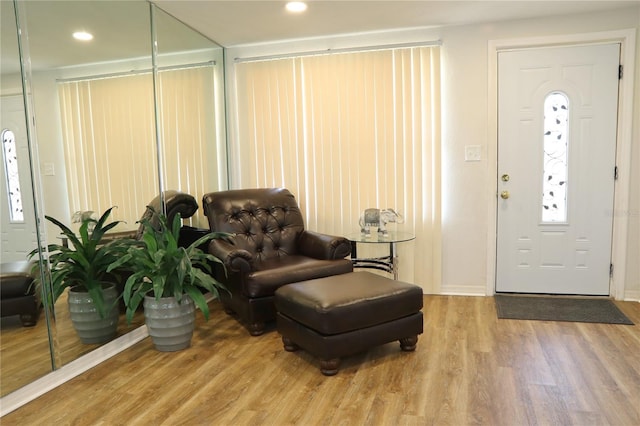 entrance foyer featuring wood-type flooring