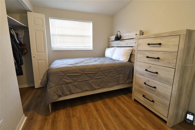 bedroom featuring dark wood-type flooring