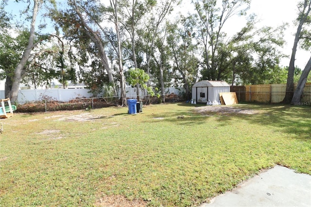 view of yard featuring a shed