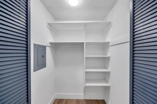 walk in closet featuring electric panel and dark hardwood / wood-style floors