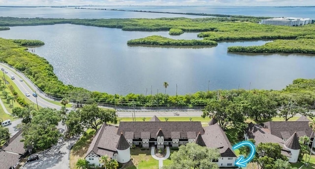 aerial view with a water view