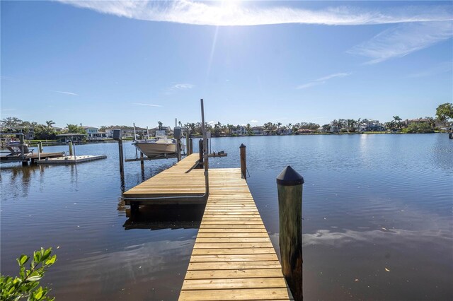 838 Monterey Blvd NE, Saint Petersburg, FL 33704 - photo 52