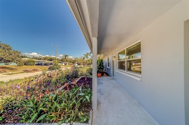 view of yard featuring a patio area