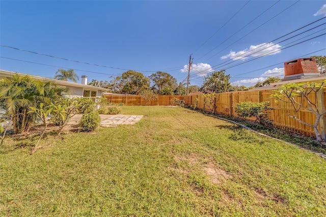 view of yard featuring a patio area