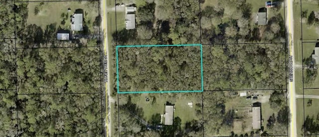 1167 Honeytree St, Bunnell FL, 32110 land for sale