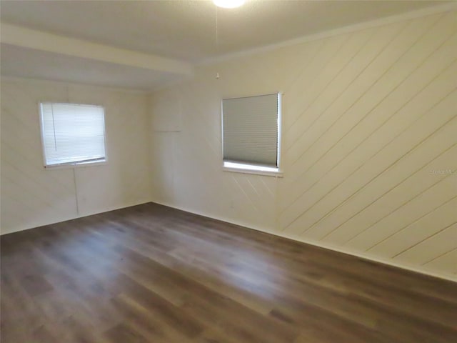 empty room featuring wood walls and dark hardwood / wood-style floors