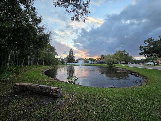 view of water feature