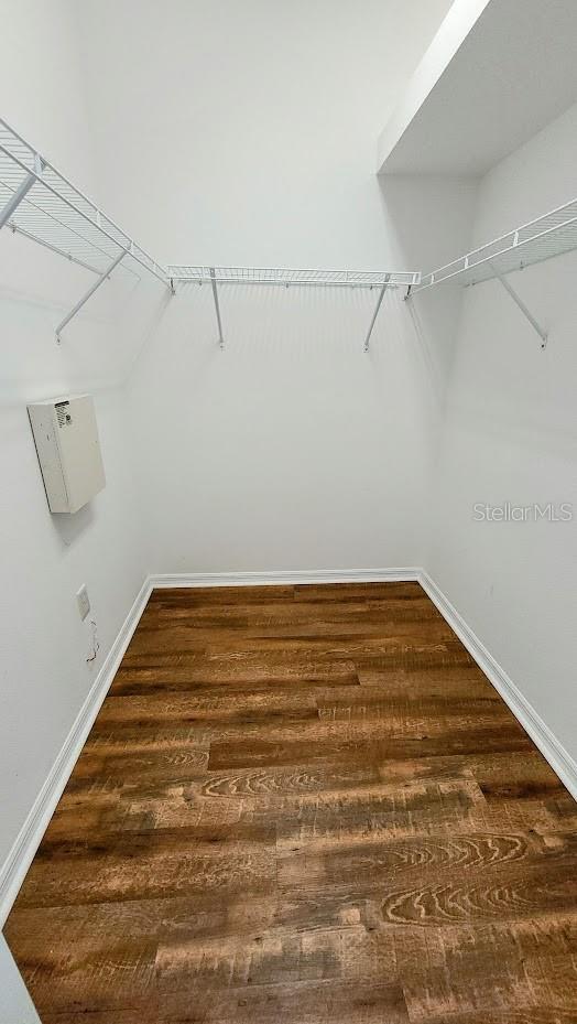 walk in closet with dark hardwood / wood-style floors