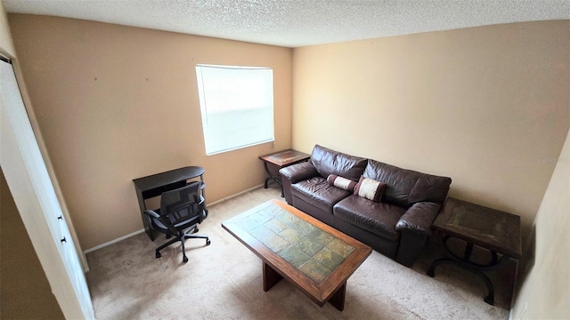 living room with a textured ceiling and light colored carpet