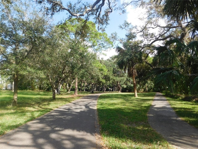 view of home's community with a lawn