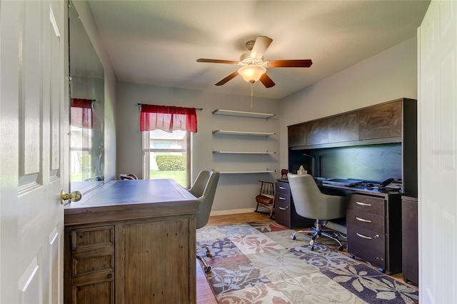 5220 Butterfly Shell Dr, Apollo Beach, FL 33572 - home office featuring ceiling fan, wood finished floors, and baseboards