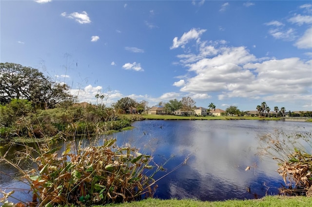 5220 Butterfly Shell Dr, Apollo Beach, FL 33572 - water view