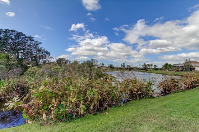 5220 Butterfly Shell Dr, Apollo Beach, FL 33572 - water view