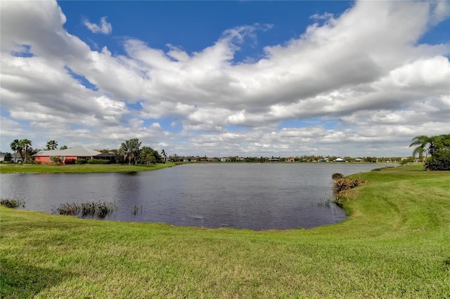 5220 Butterfly Shell Dr, Apollo Beach, FL 33572 - water view