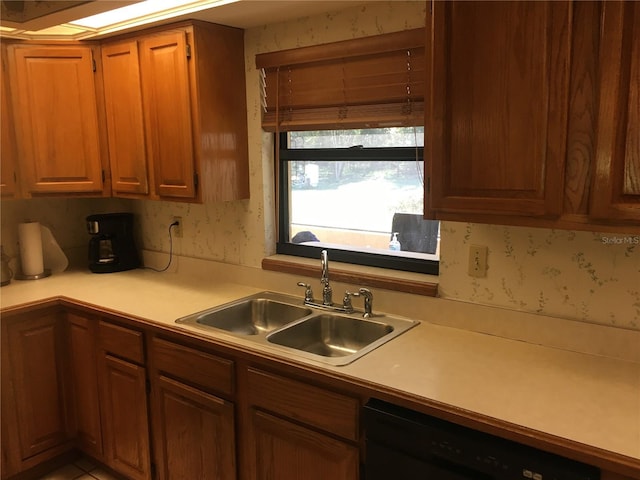 kitchen with sink and dishwasher