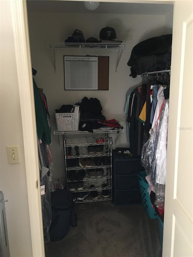 walk in closet featuring carpet