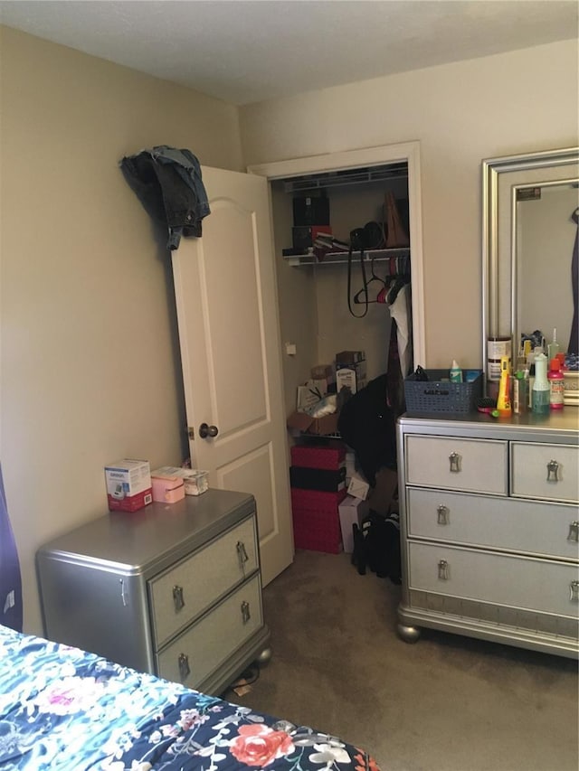 carpeted bedroom featuring a closet