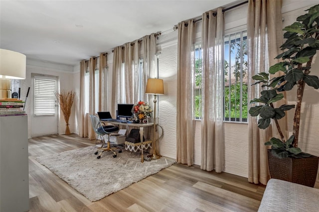 home office featuring light hardwood / wood-style flooring