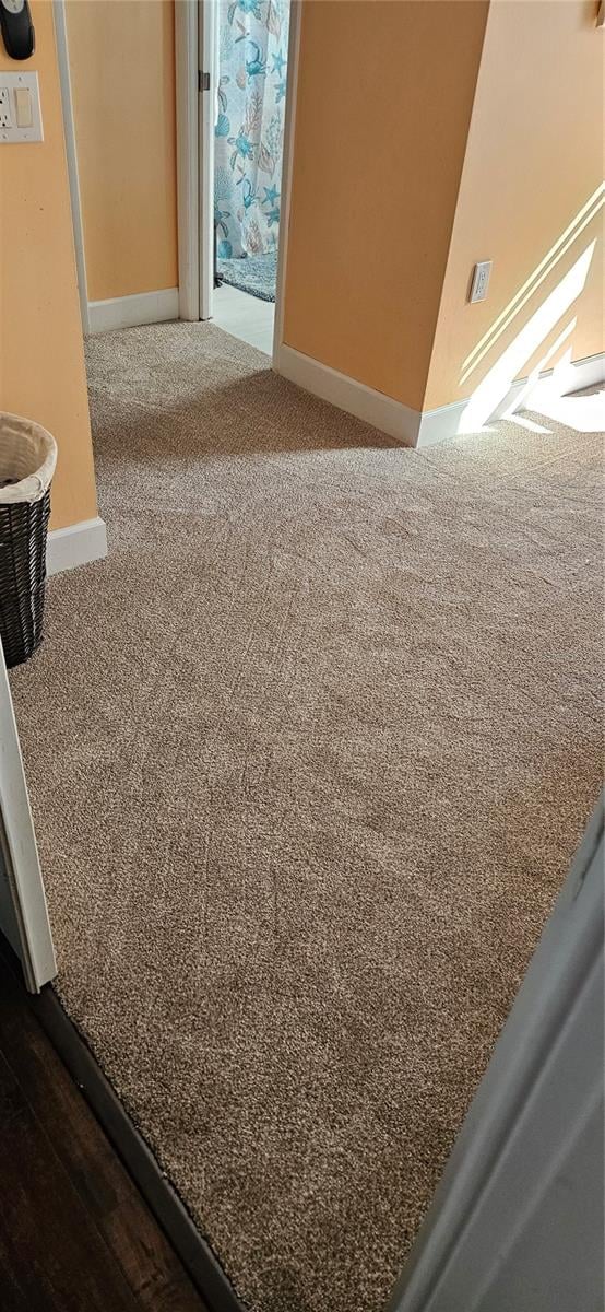 interior details with carpet floors