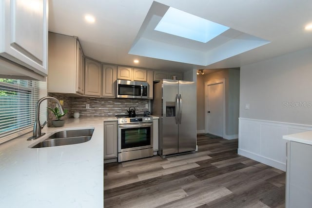 kitchen featuring stainless steel appliances, dark hardwood / wood-style floors, sink, and a tray ceiling