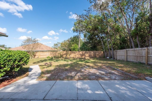 view of yard with a patio