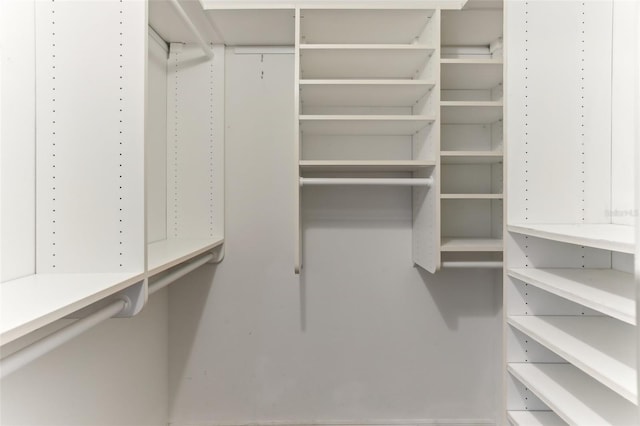 view of walk in closet